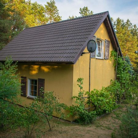 Gospodarstwo Agroturystyczne Nad Jeziorem Wsrod Lasow Lipnica  エクステリア 写真