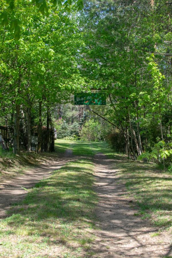 Gospodarstwo Agroturystyczne Nad Jeziorem Wsrod Lasow Lipnica  エクステリア 写真