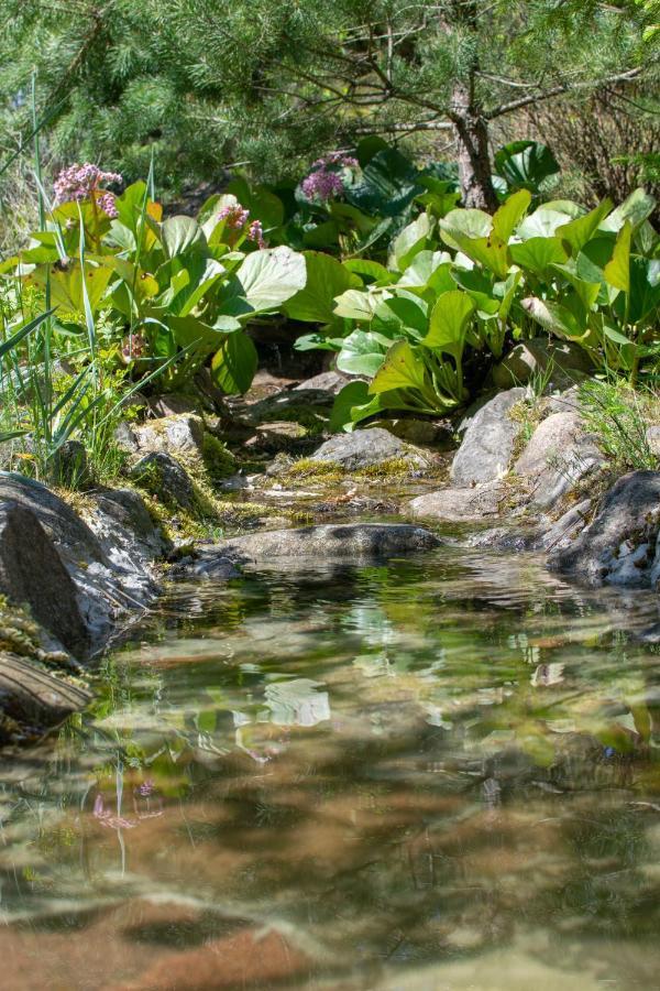 Gospodarstwo Agroturystyczne Nad Jeziorem Wsrod Lasow Lipnica  エクステリア 写真